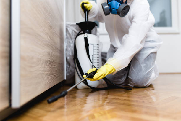 Best Local Pest Control Services  in Converse, IN