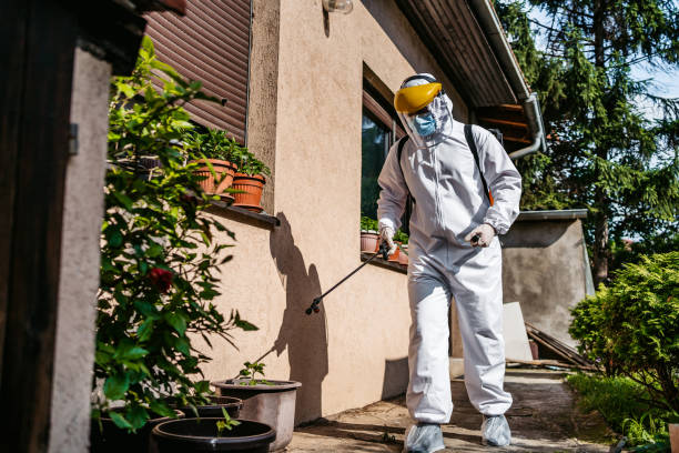 Best Pest Control for Homes  in Converse, IN