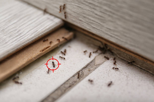 Converse, IN Pest Control Company