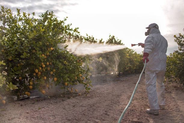 Best Flea Control Services  in Converse, IN