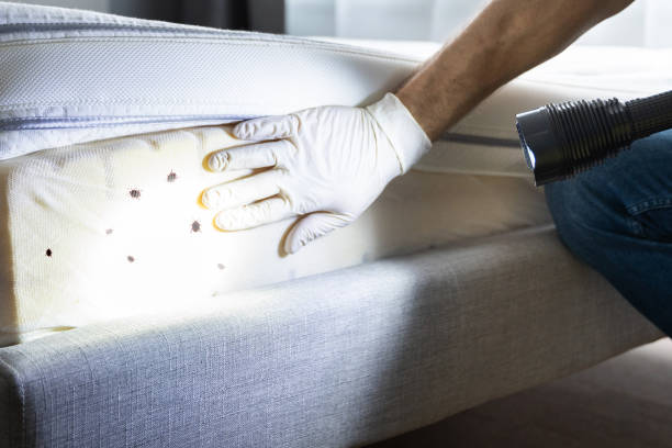 Best Residential Pest Control  in Converse, IN