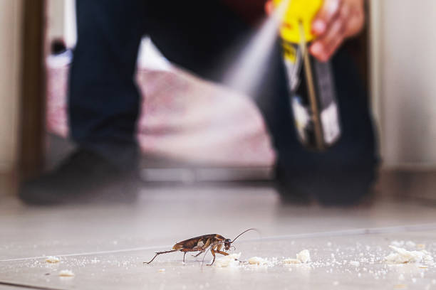 Flea Control Services in Converse, IN